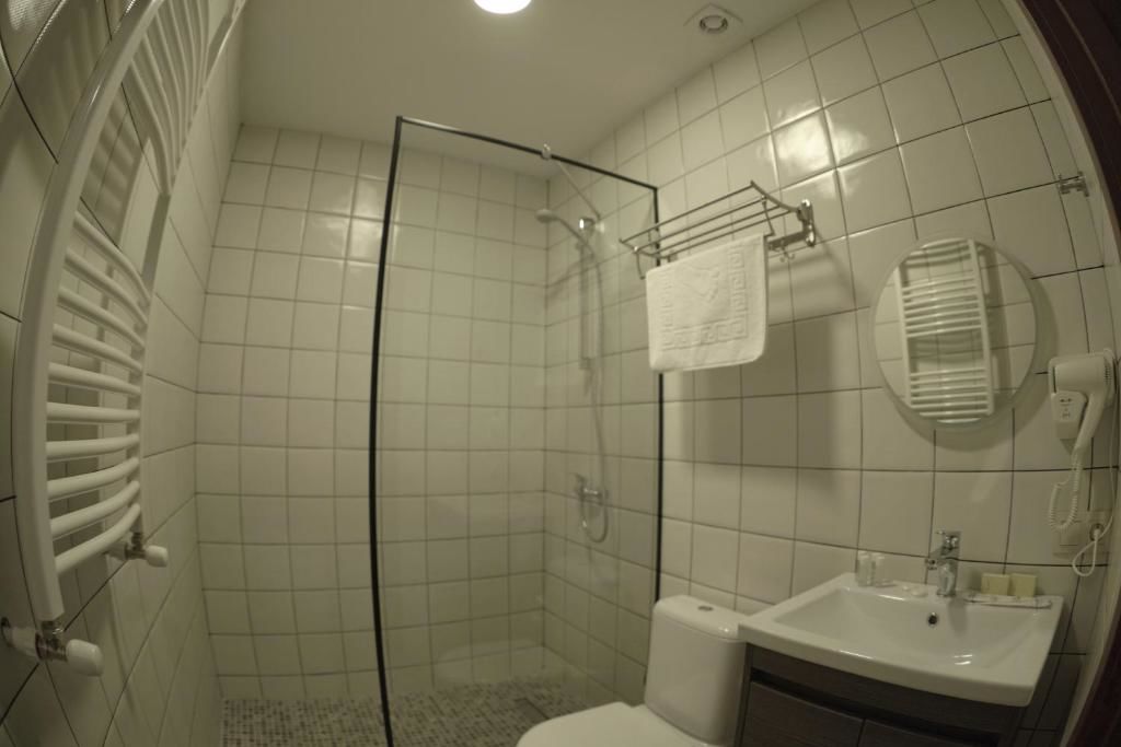 Отель Hotel Flower Тбилиси-119