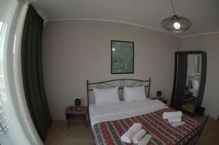Отель Hotel Flower Тбилиси Двухместный номер Делюкс с 1 кроватью и балконом-12