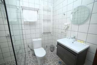 Отель Hotel Flower Тбилиси Двухместный номер с 1 кроватью и балконом-4