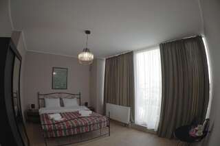 Отель Hotel Flower Тбилиси Двухместный номер с 1 кроватью и видом на город-5