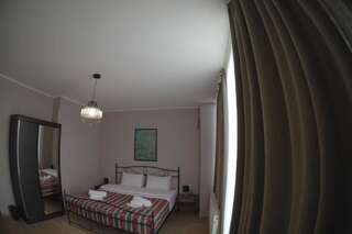 Отель Hotel Flower Тбилиси Двухместный номер с 1 кроватью и видом на город-10