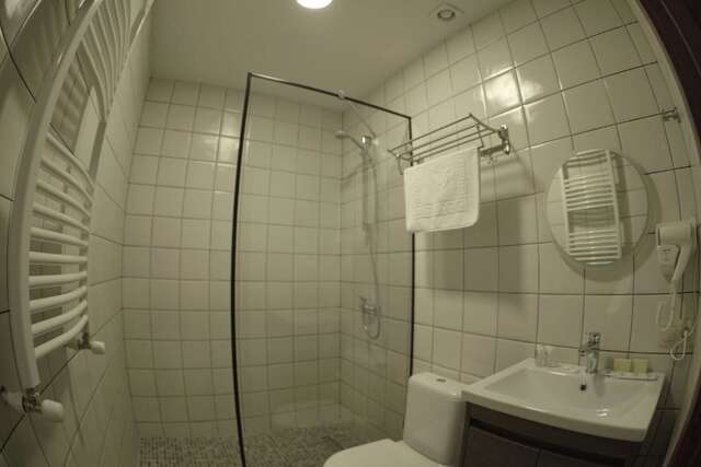 Отель Hotel Flower Тбилиси-118