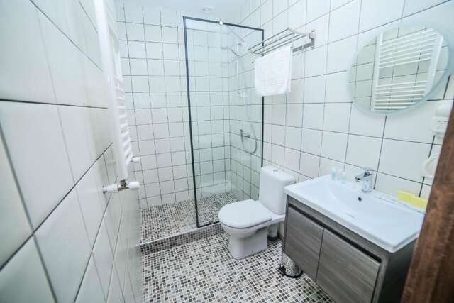 Отель Hotel Flower Тбилиси-94
